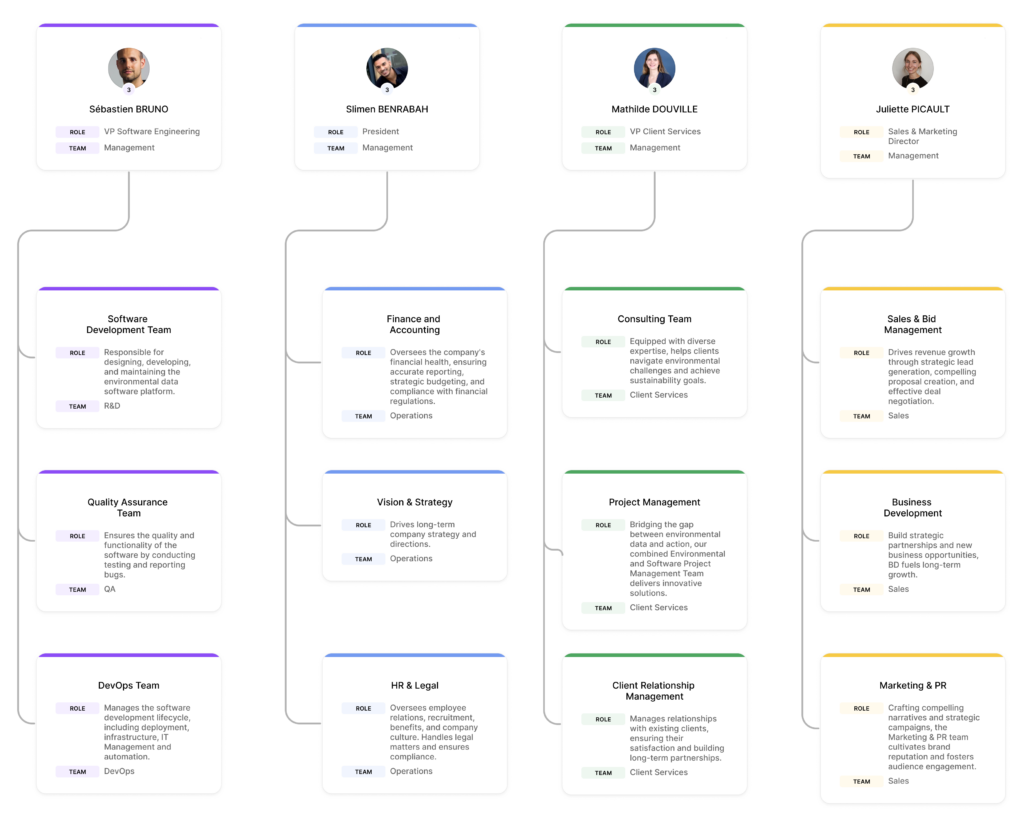 Insight Decision Organization Chart