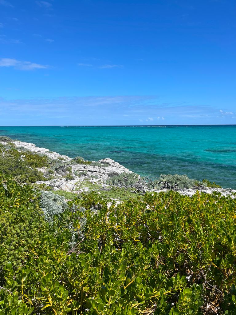 Stunning view of Caicos Islands coastline with clear turquoise waters and lush greenery.